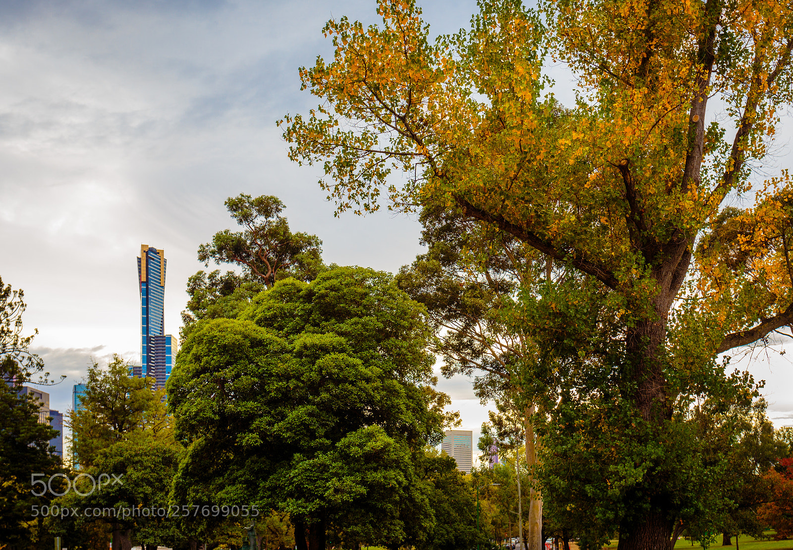 Canon EOS 6D sample photo. Melbourne autumn goodness photography