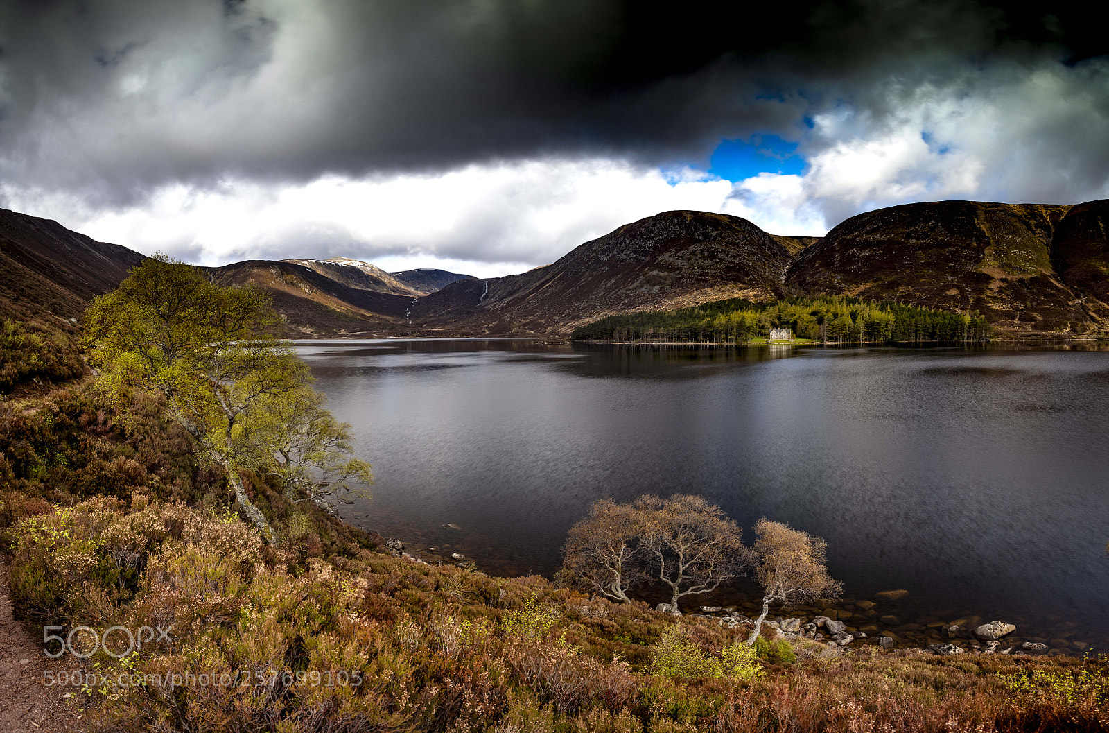 Canon EOS 5DS sample photo. Loch muick blooms photography
