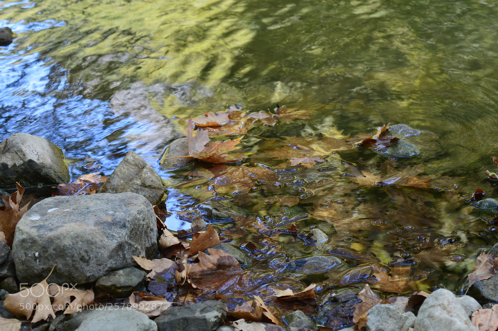 Nikon D3200 sample photo. Autumn feel photography