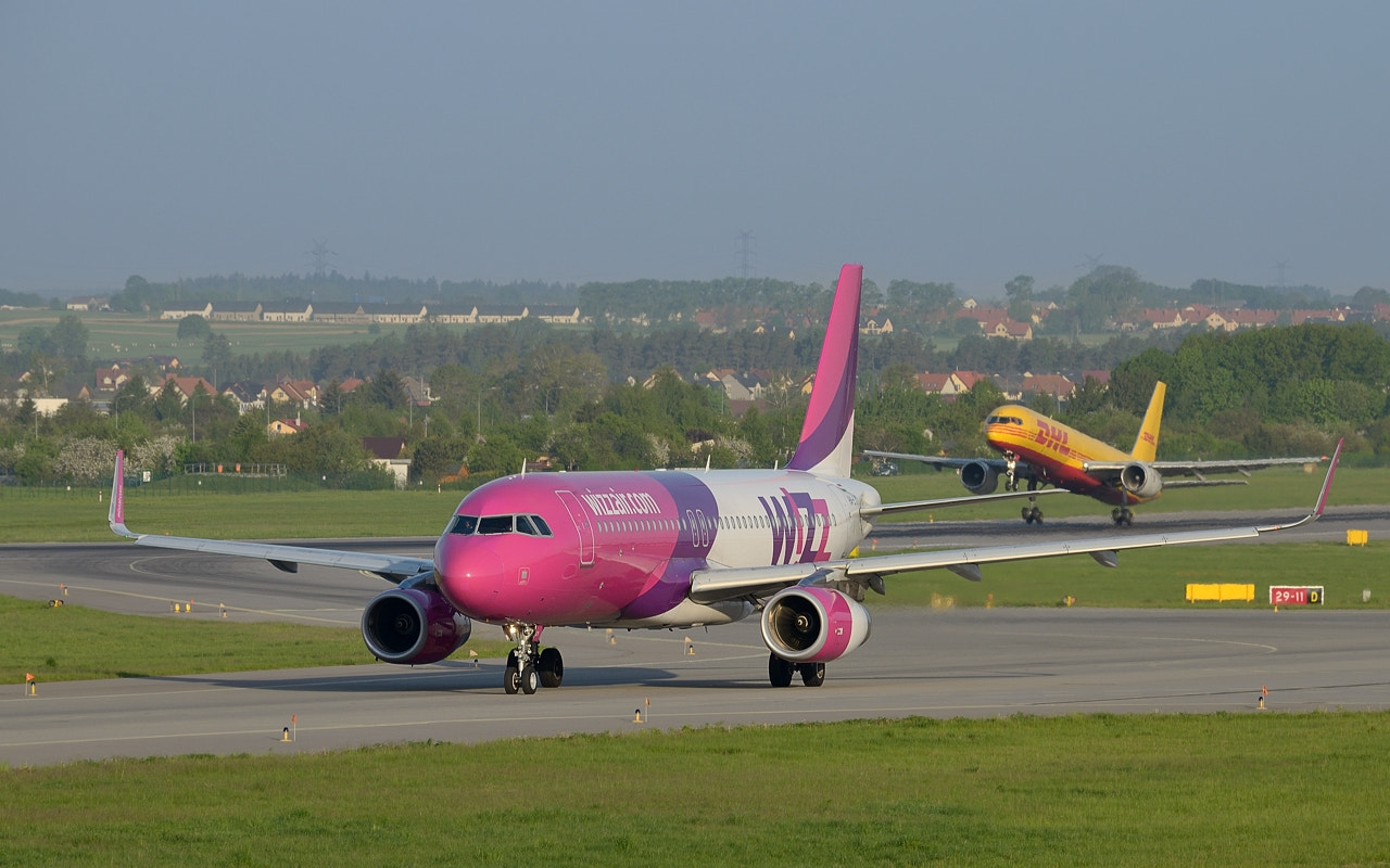 Nikon D5100 sample photo. Catch the tail photography