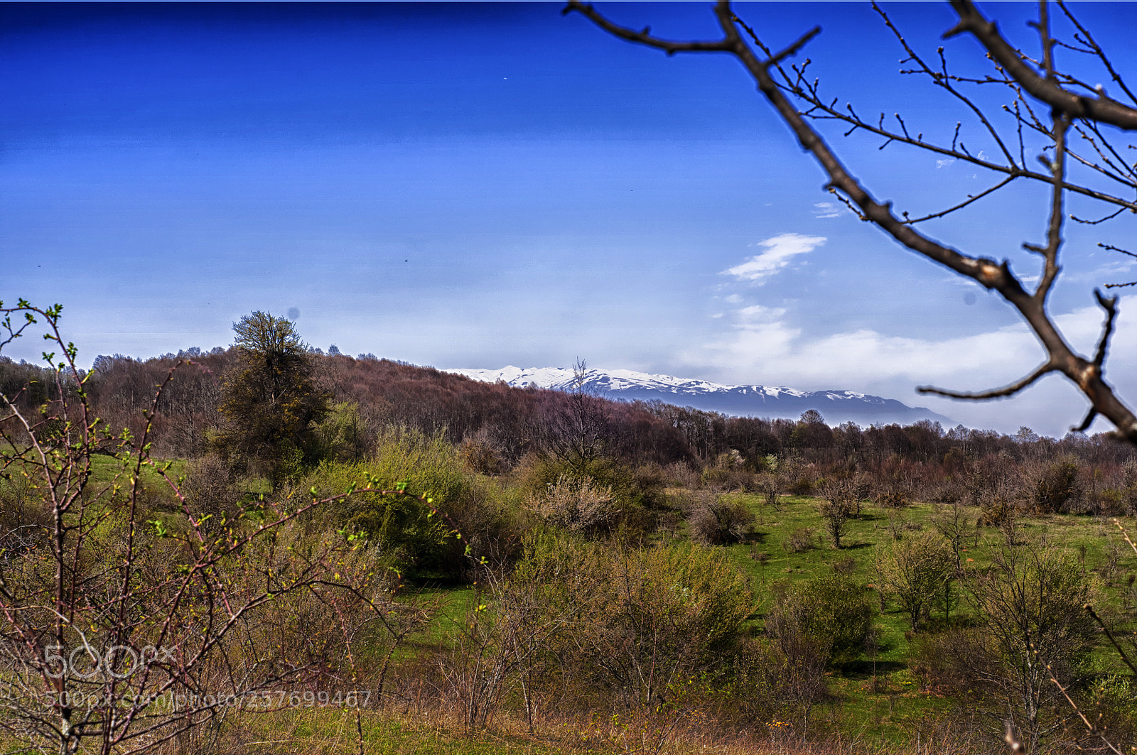 Nikon D90 sample photo. Untitled photography