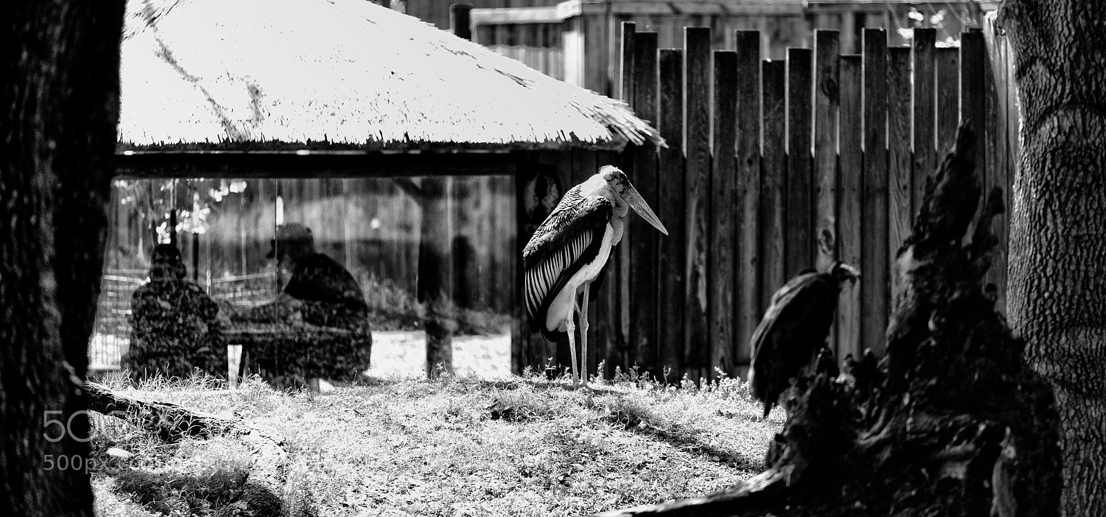 Nikon D810 sample photo. Untitled photography