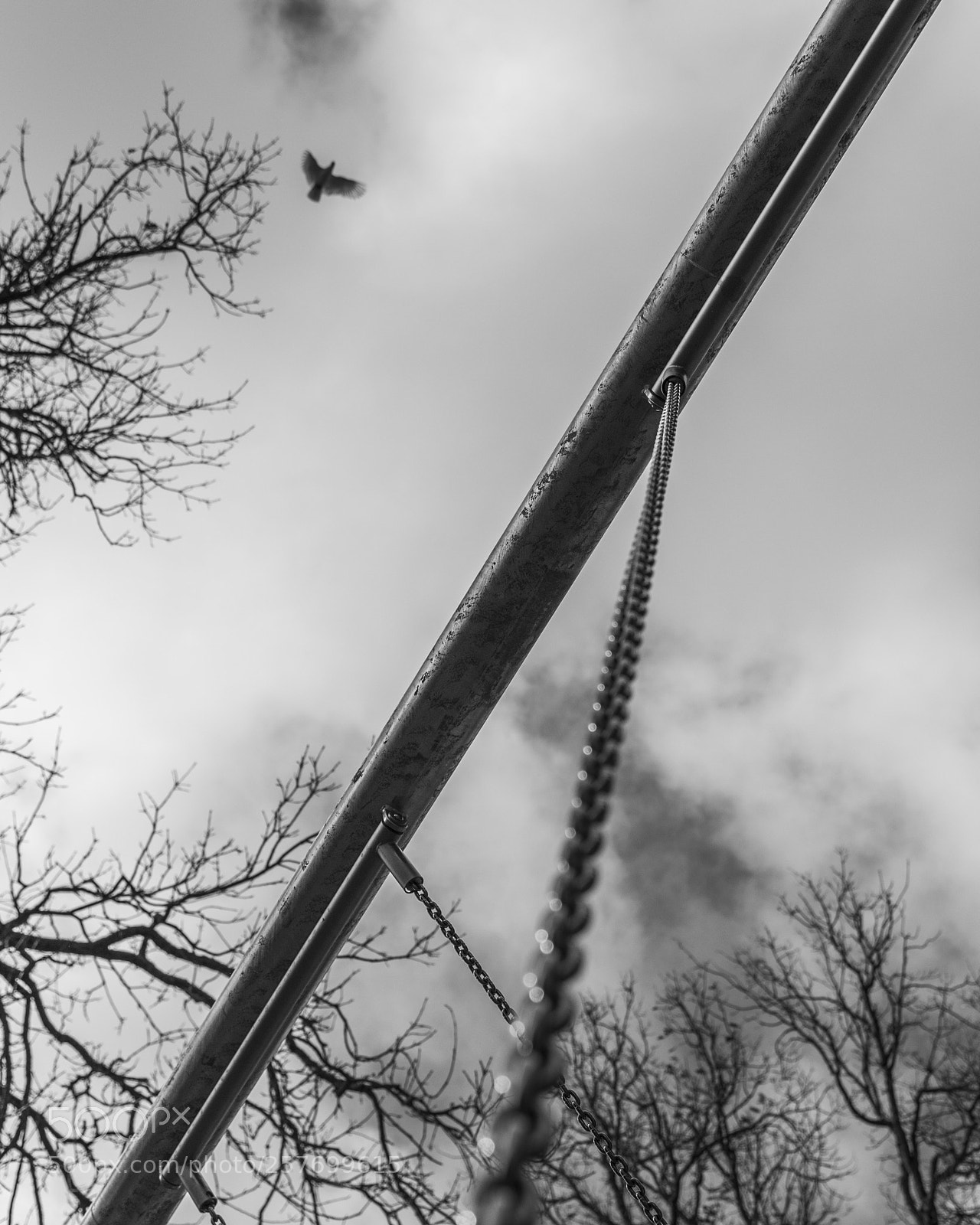 Nikon D750 sample photo. On the swing photography