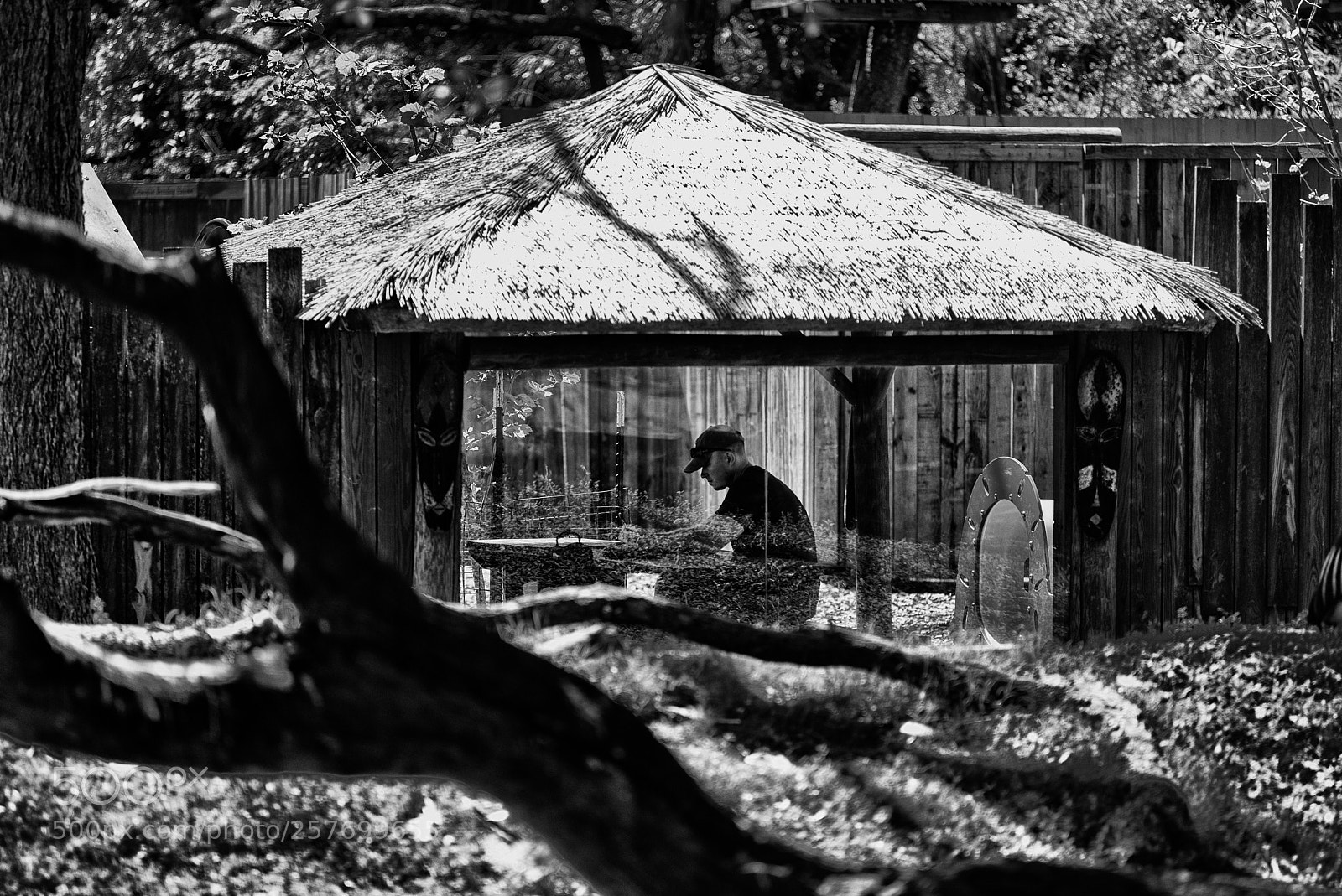 Nikon D810 sample photo. Untitled photography