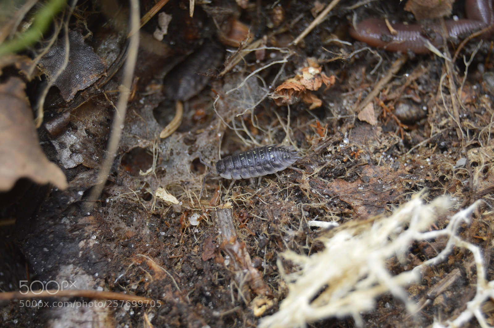 Nikon D3200 sample photo. Dansk natur photography