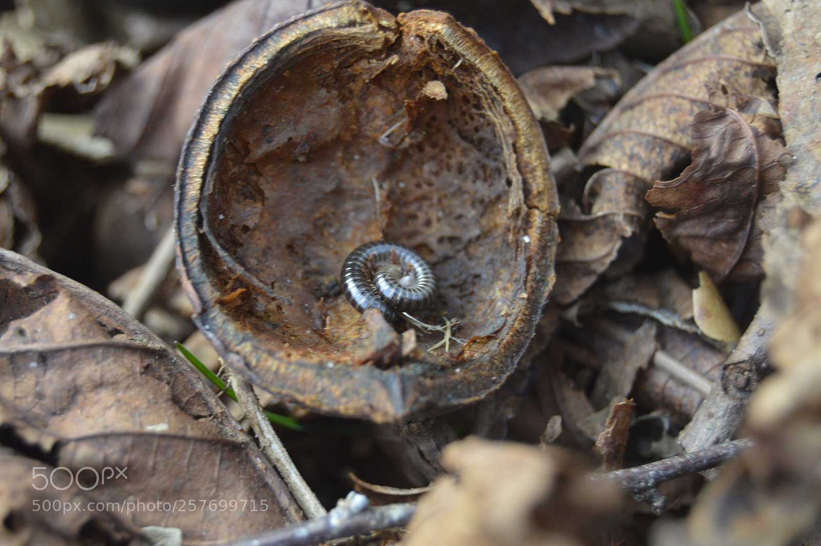 Nikon D3200 sample photo. Dansk natur photography