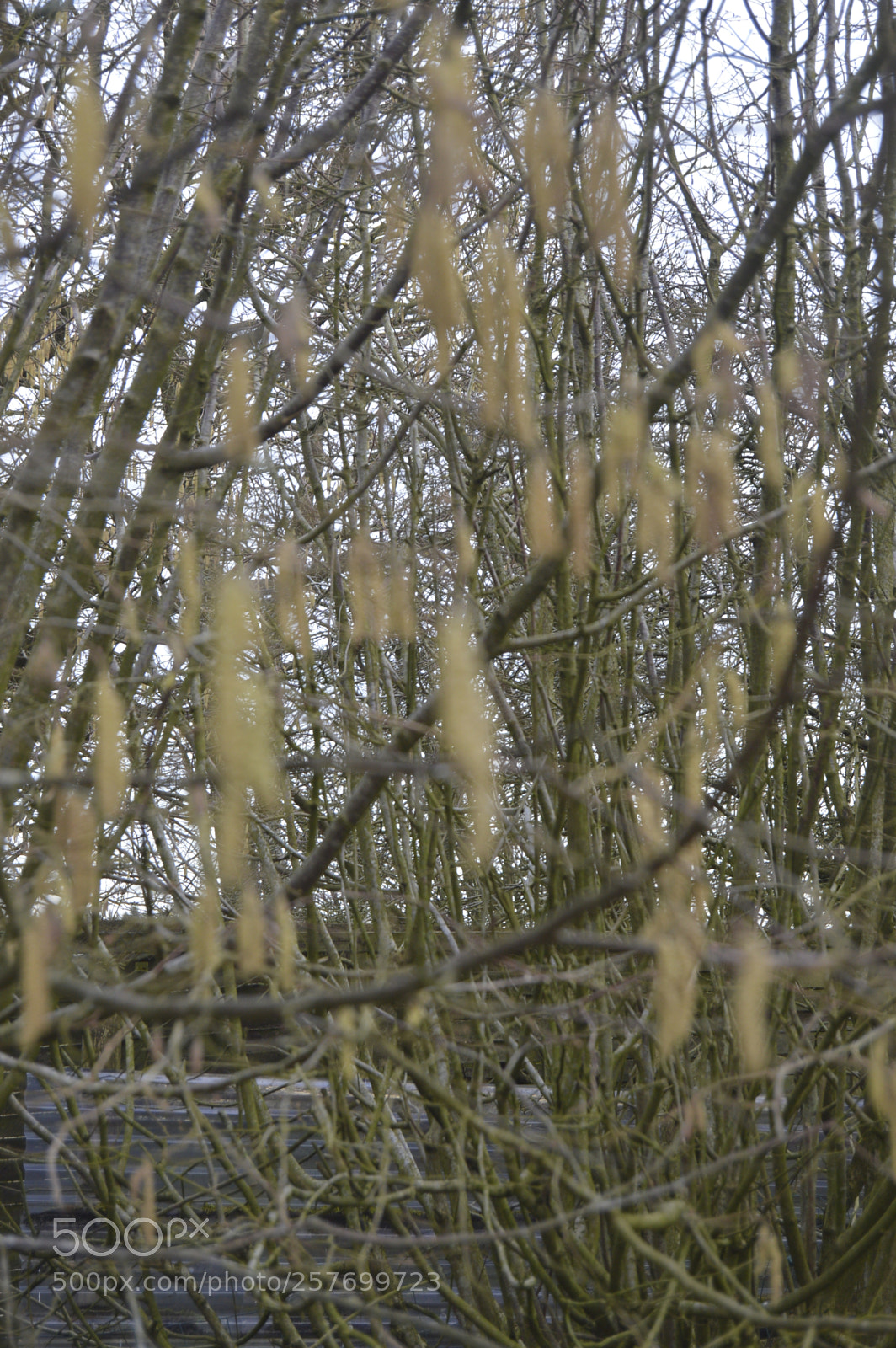 Nikon D3200 sample photo. Dansk natur photography