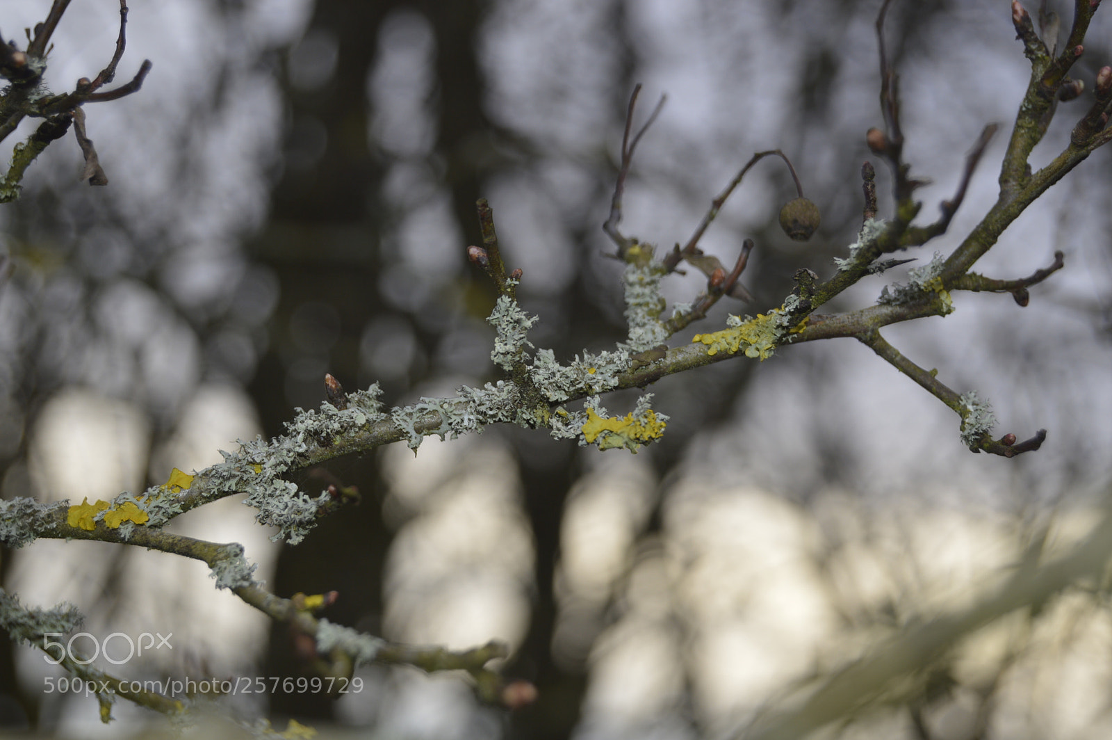 Nikon D3200 sample photo. Dansk natur photography