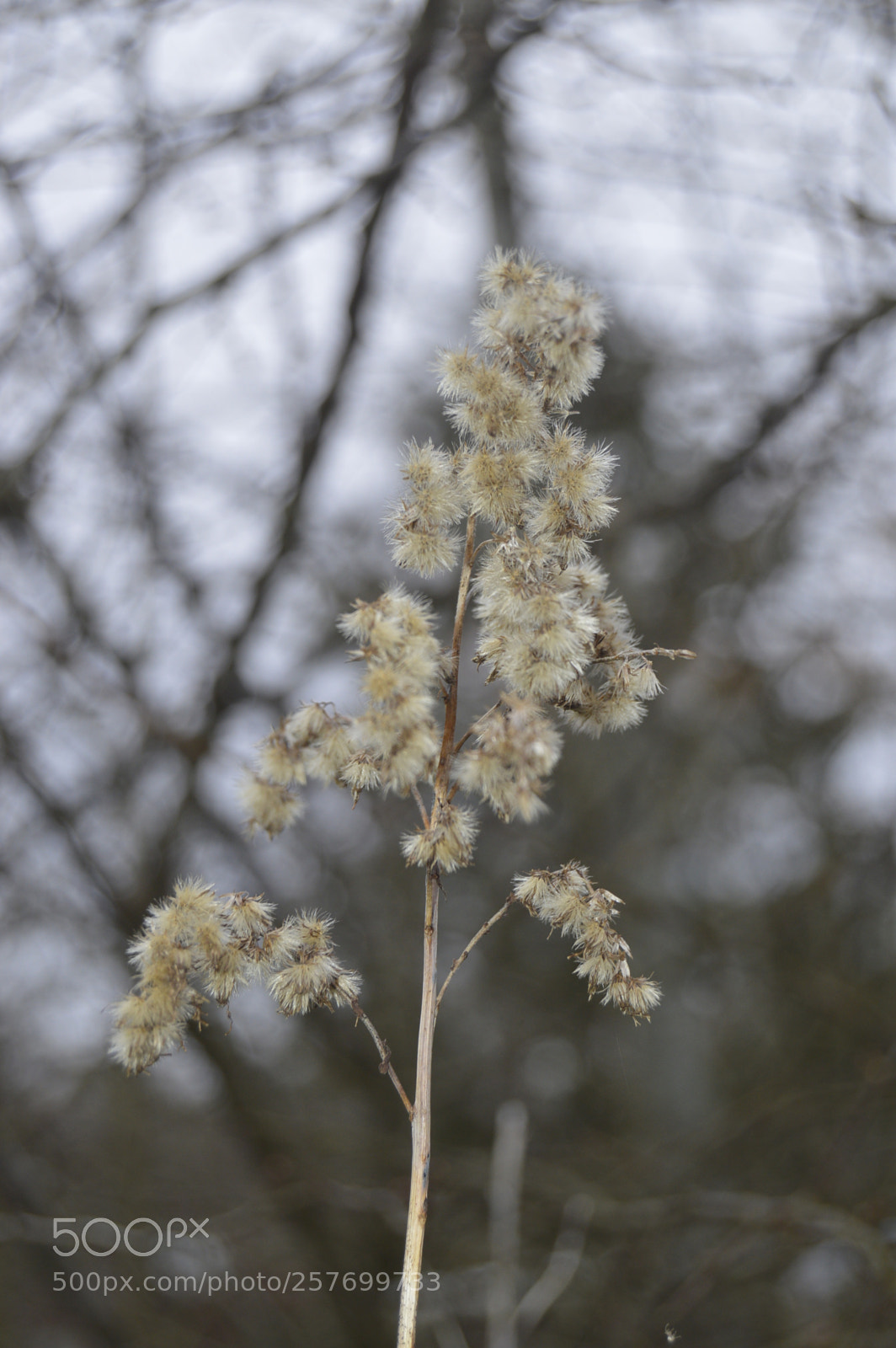 Nikon D3200 sample photo. Dansk natur photography