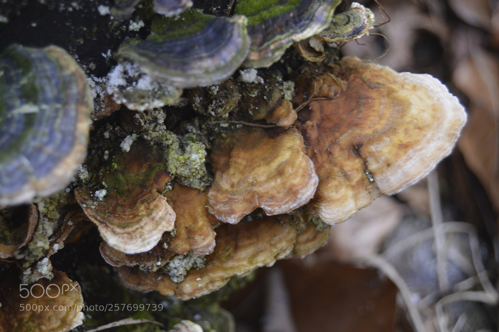 Nikon D3200 sample photo. Dansk natur photography