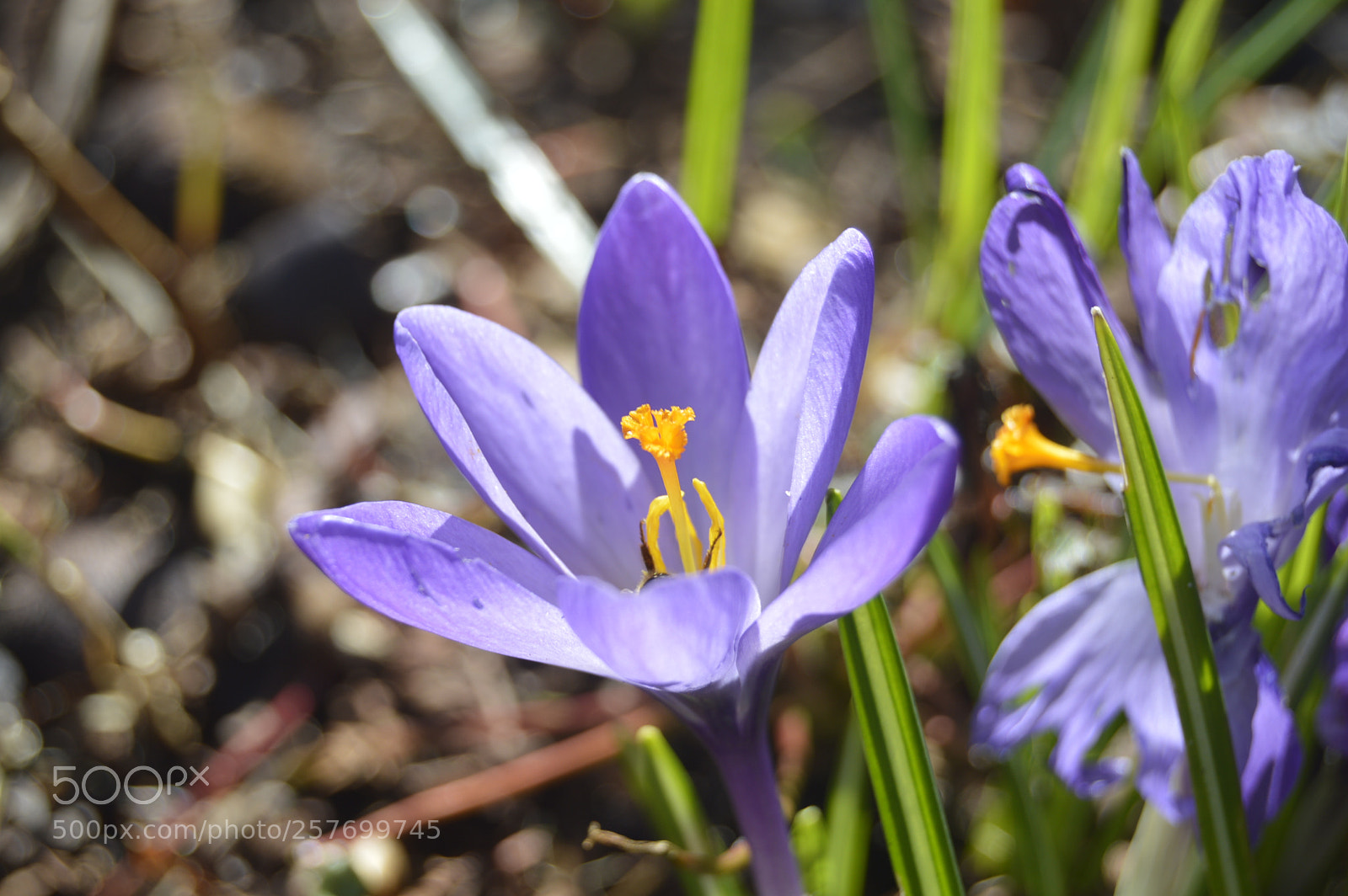 Nikon D3200 sample photo. Dansk natur photography