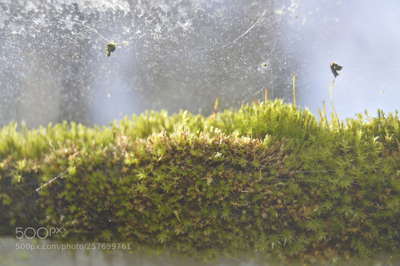 Nikon D3200 sample photo. Dansk natur photography