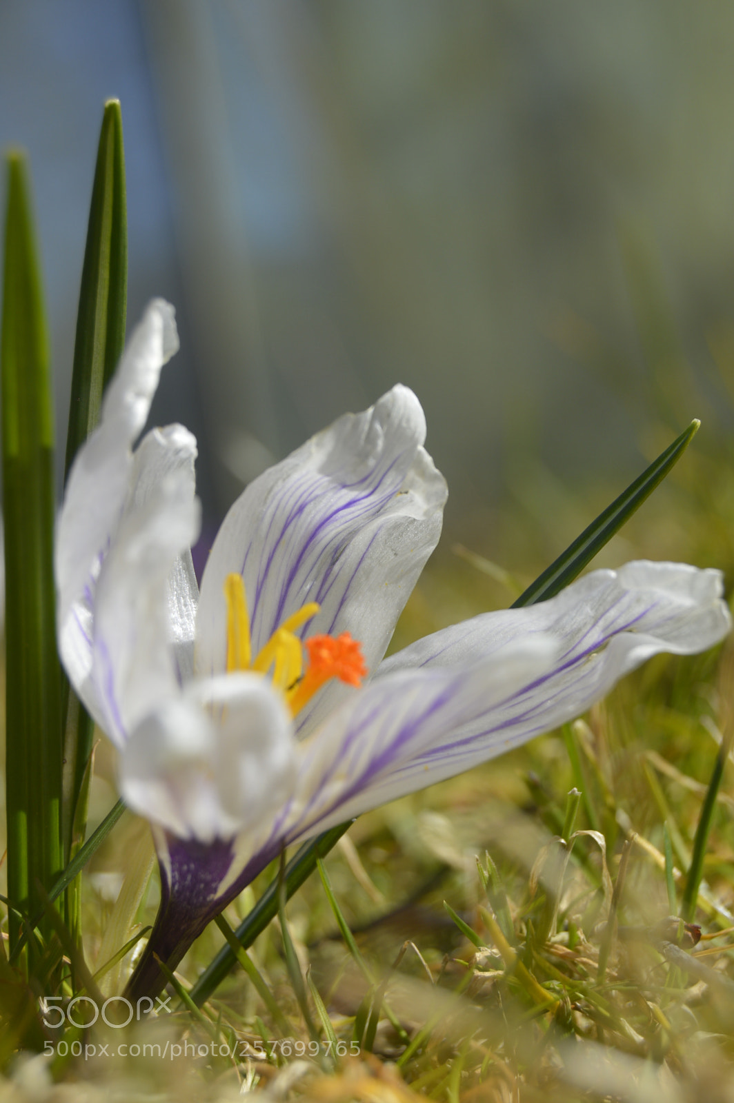 Nikon D3200 sample photo. Dansk natur photography