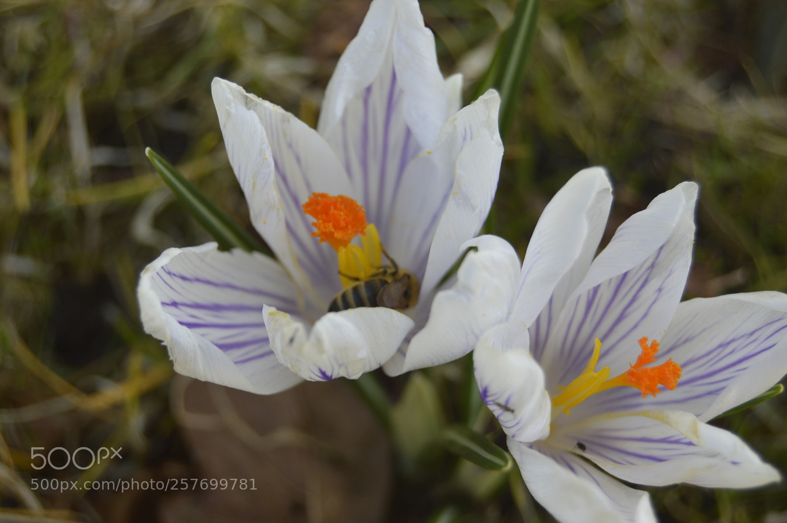 Nikon D3200 sample photo. Dansk natur photography