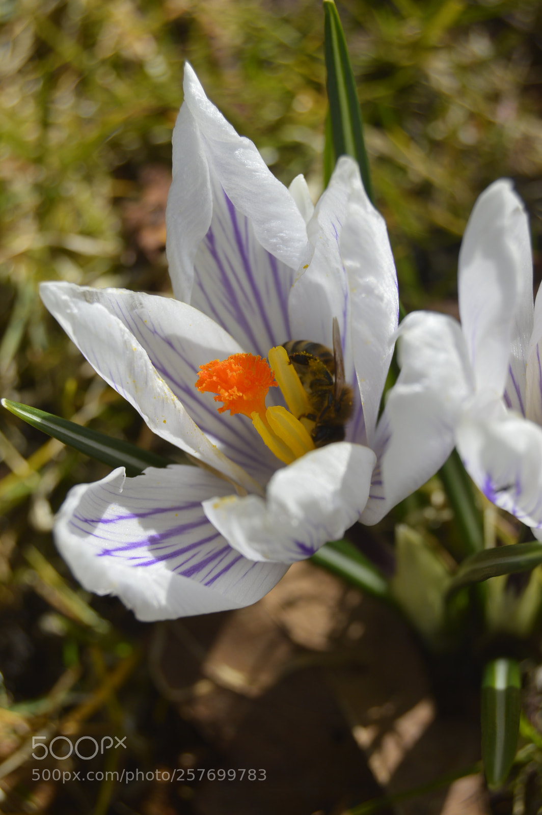 Nikon D3200 sample photo. Dansk natur photography