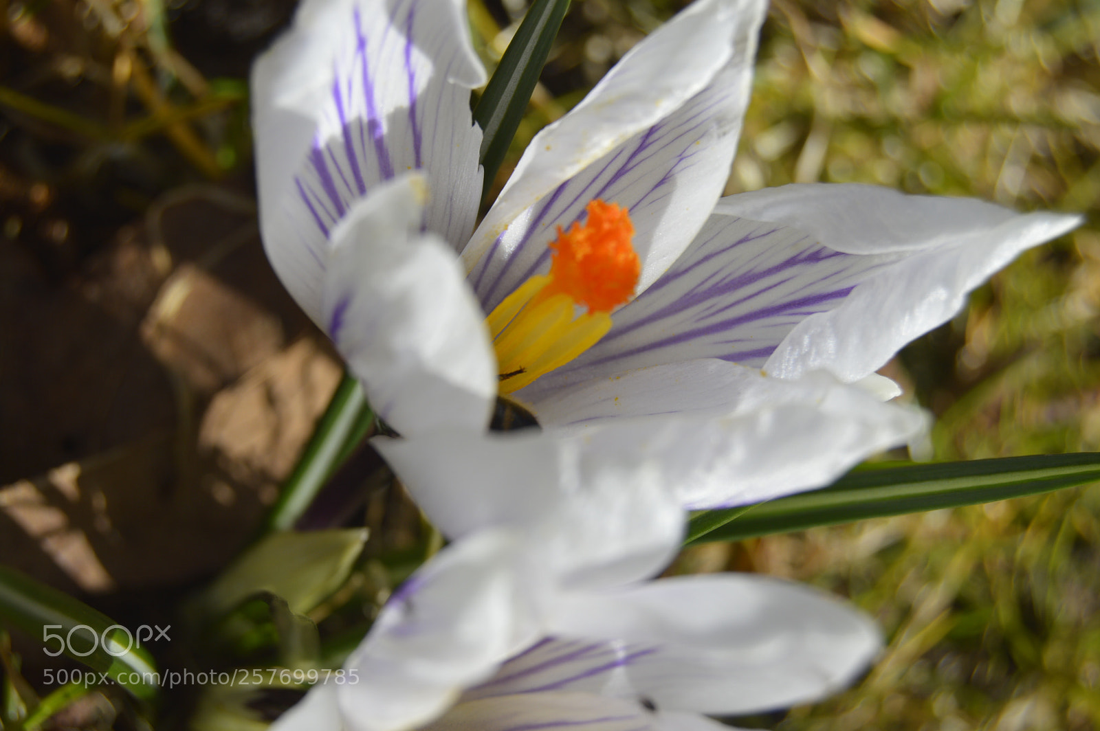 Nikon D3200 sample photo. Dansk natur photography
