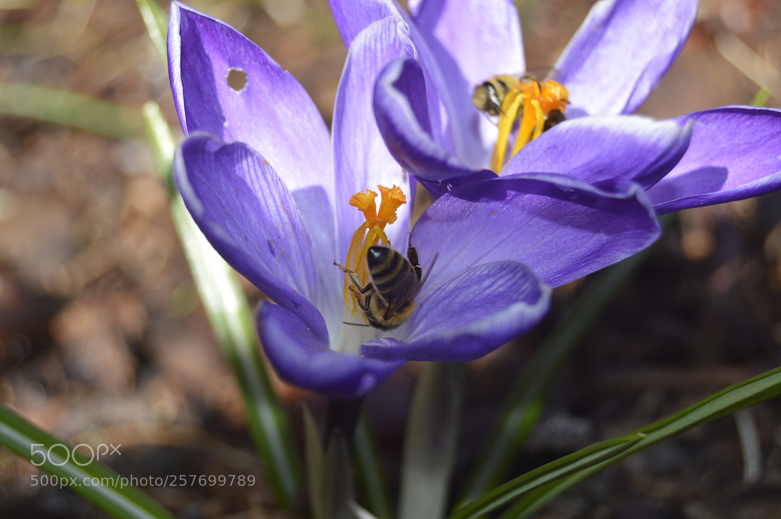 Nikon D3200 sample photo. Dansk natur photography