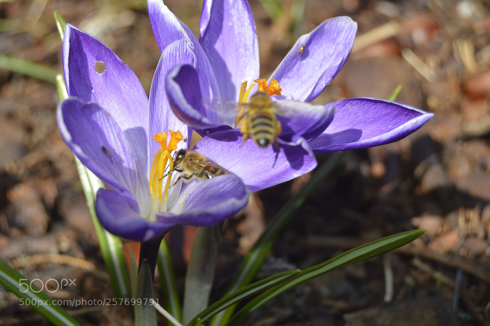 Nikon D3200 sample photo. Dansk natur photography