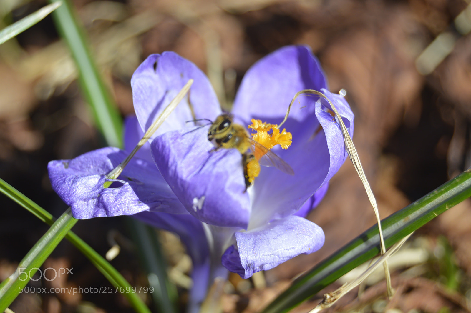 Nikon D3200 sample photo. Dansk natur photography