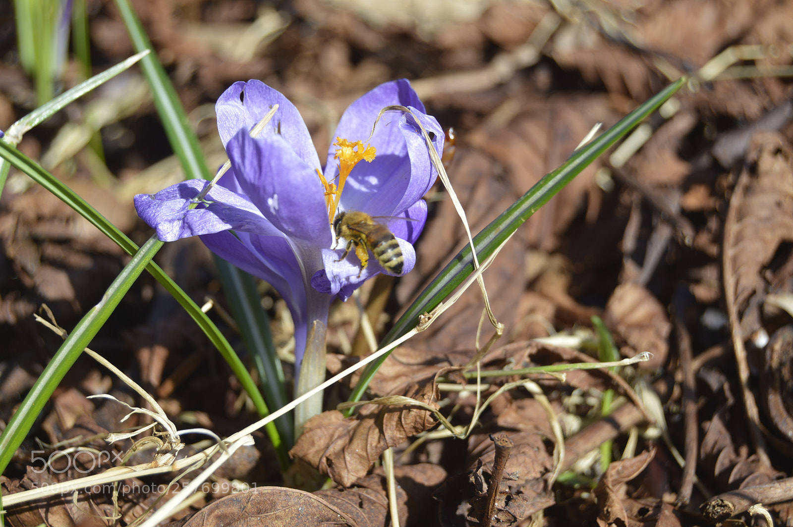 Nikon D3200 sample photo. Dansk natur photography