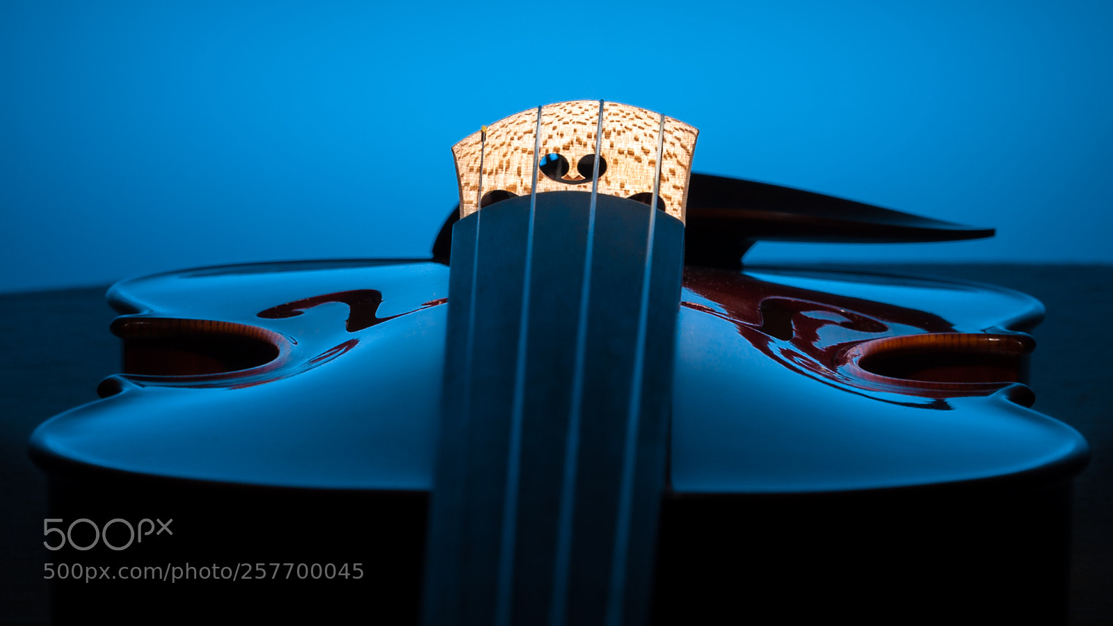 Nikon D5000 sample photo. Violin mood photography