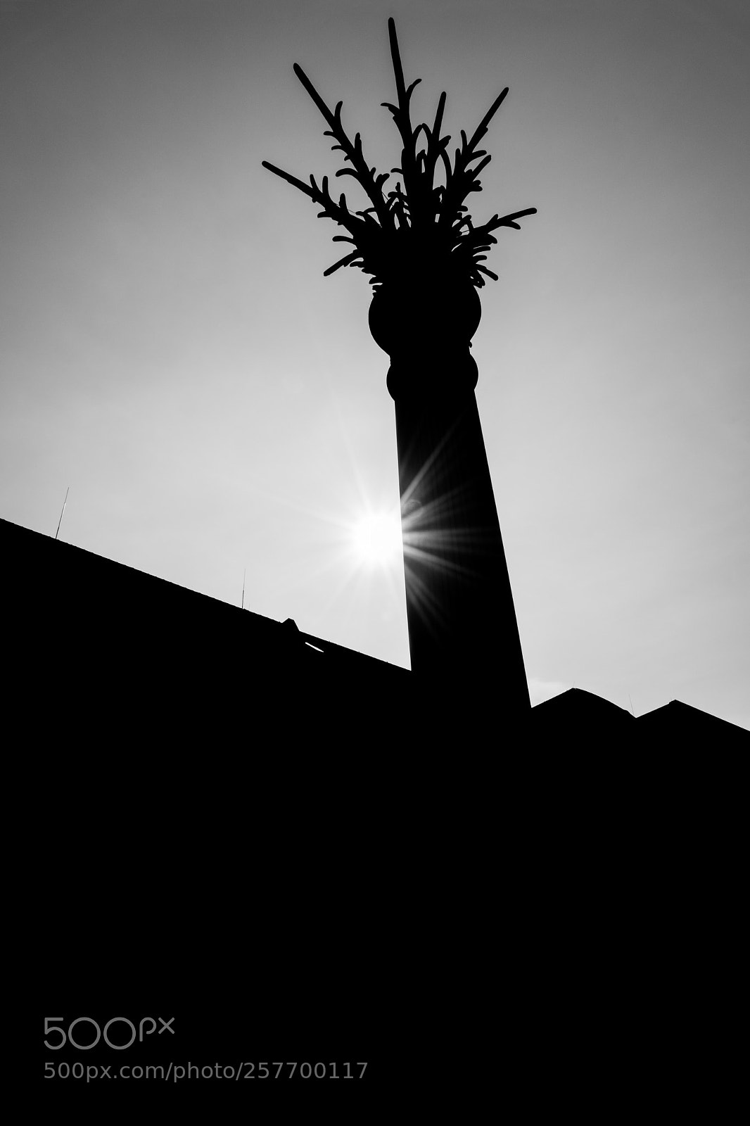Nikon D500 sample photo. Spikes in the sky photography