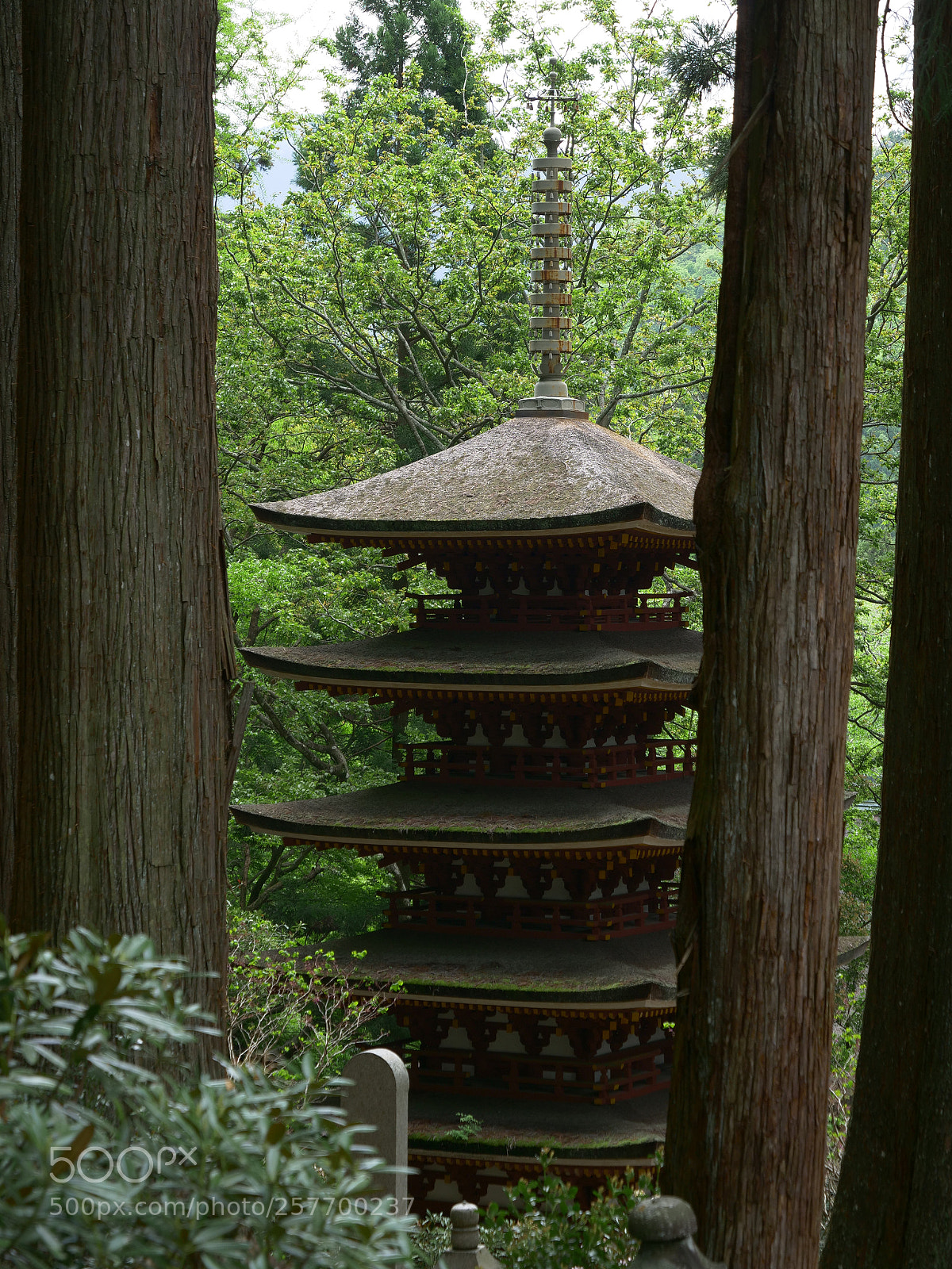 Panasonic Lumix DC-GH5 sample photo. Pagoda in the forest #02 photography