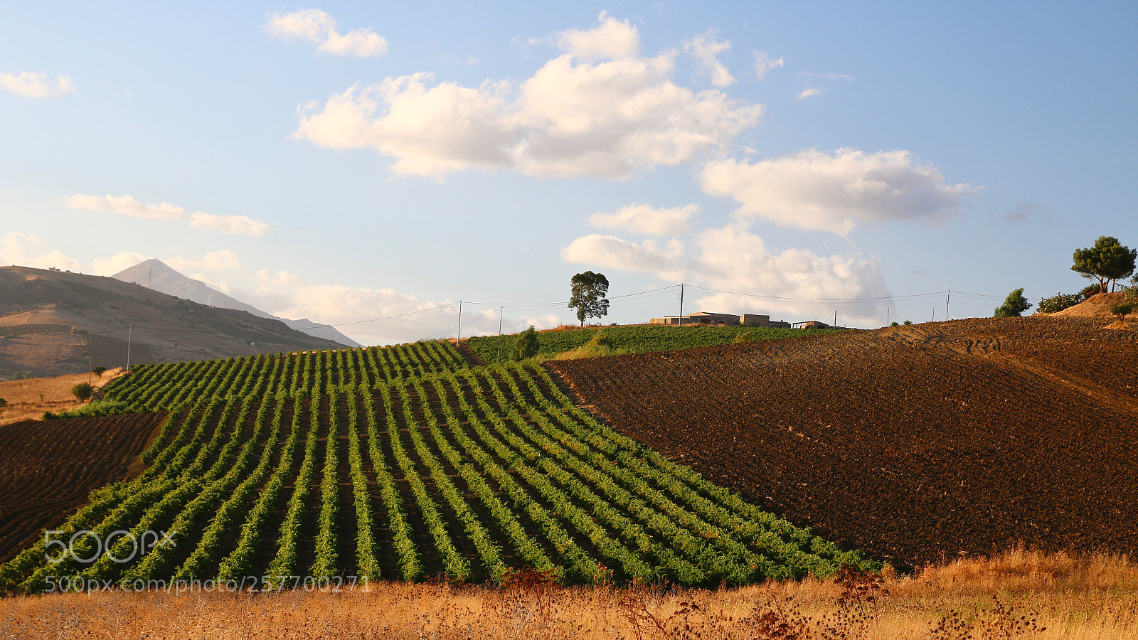Canon EOS 70D sample photo. Calatafimi photography