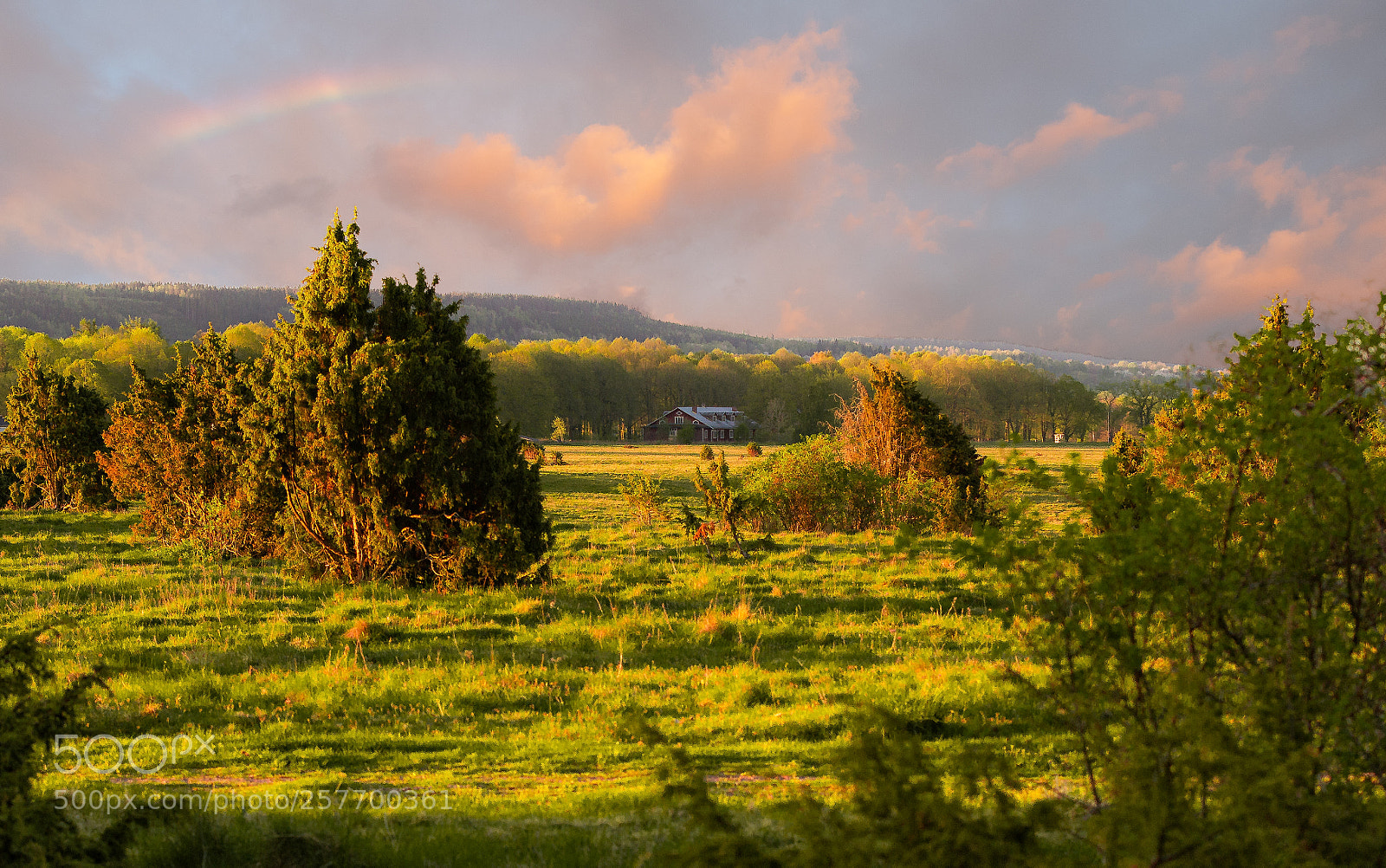 Canon EOS 7D sample photo. Early morning at the photography