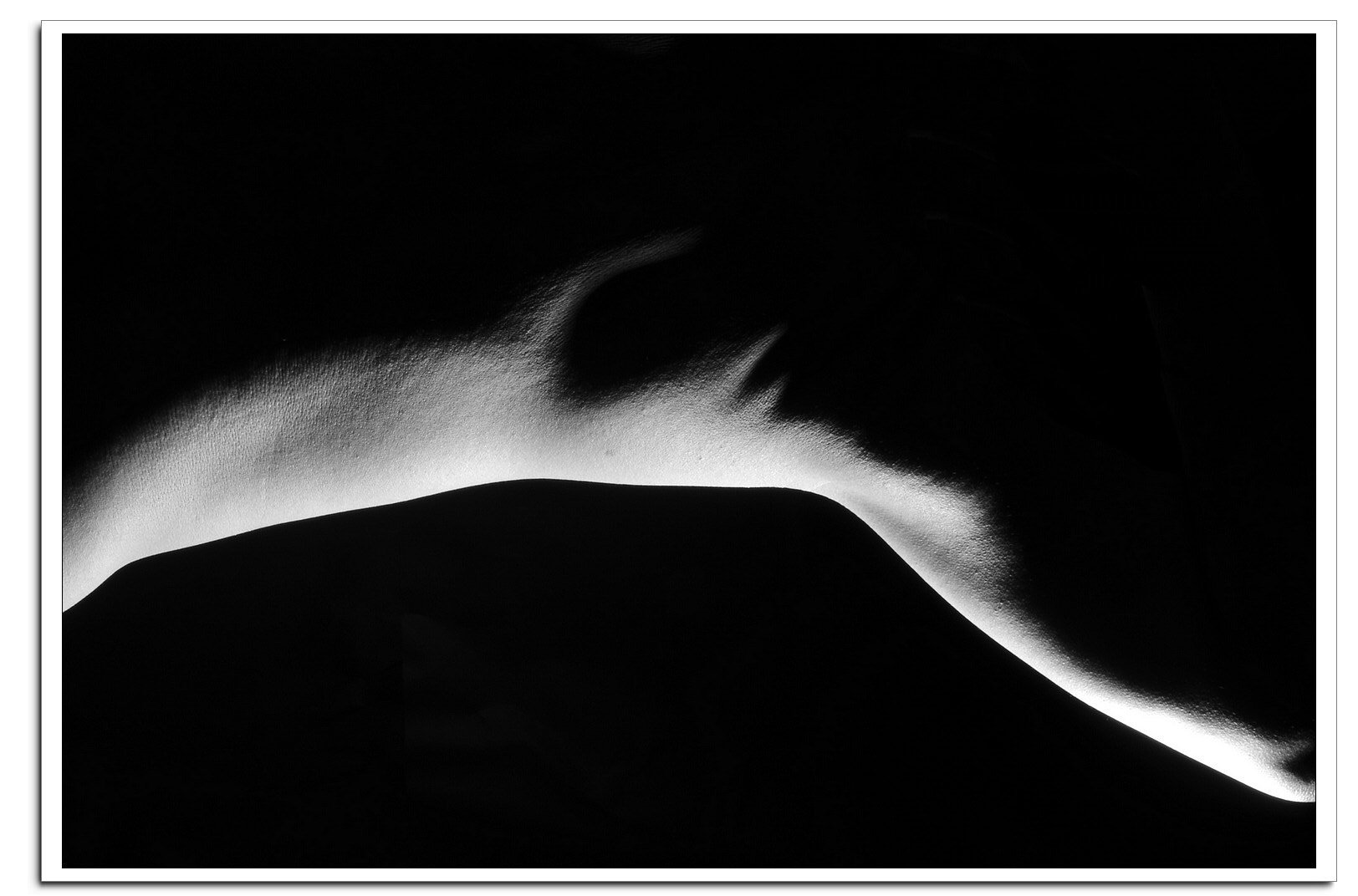 Nikon D7000 sample photo. D7k_0890-1.jpg photography