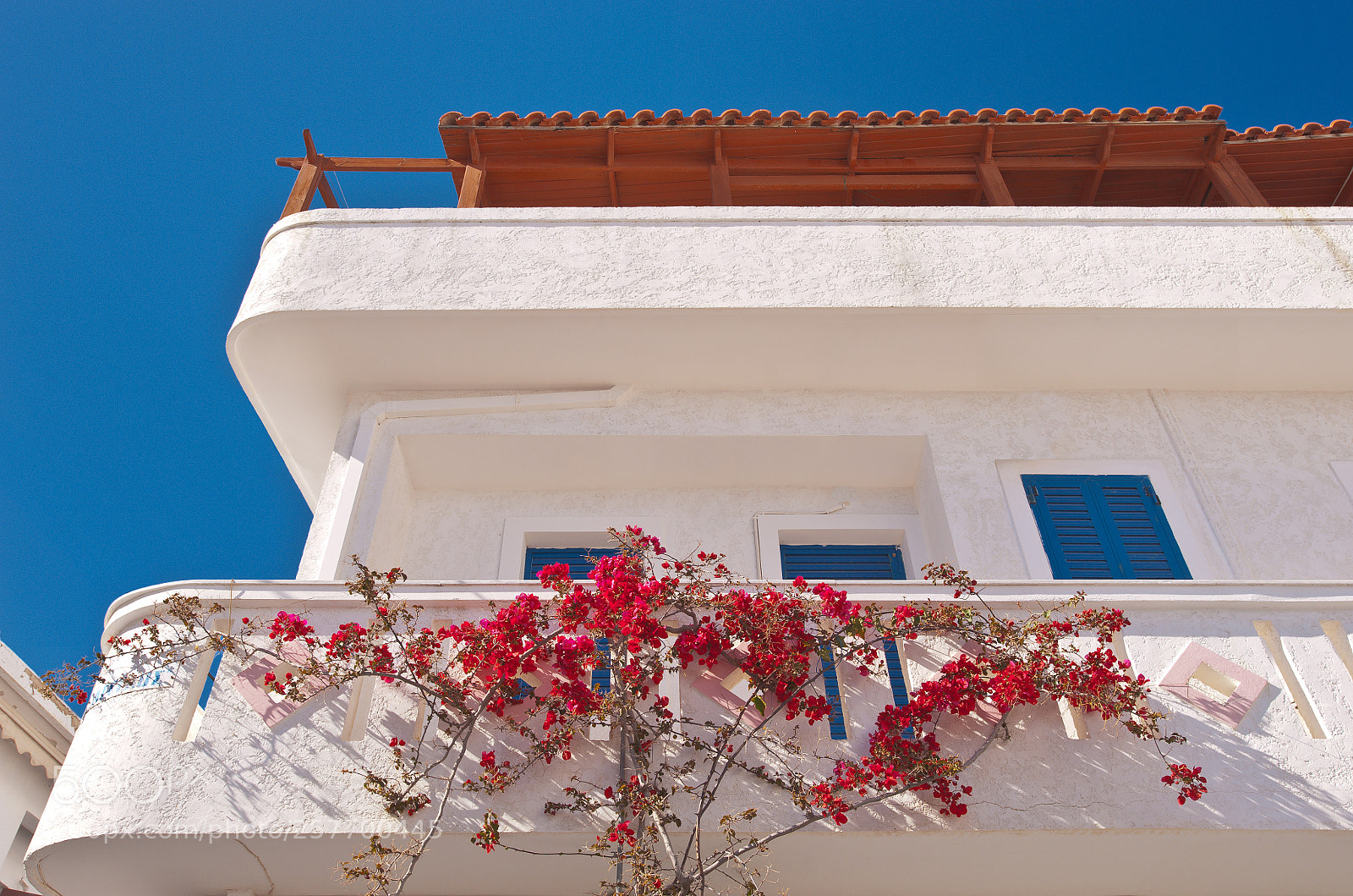 Nikon D700 sample photo. Bougainvillea photography