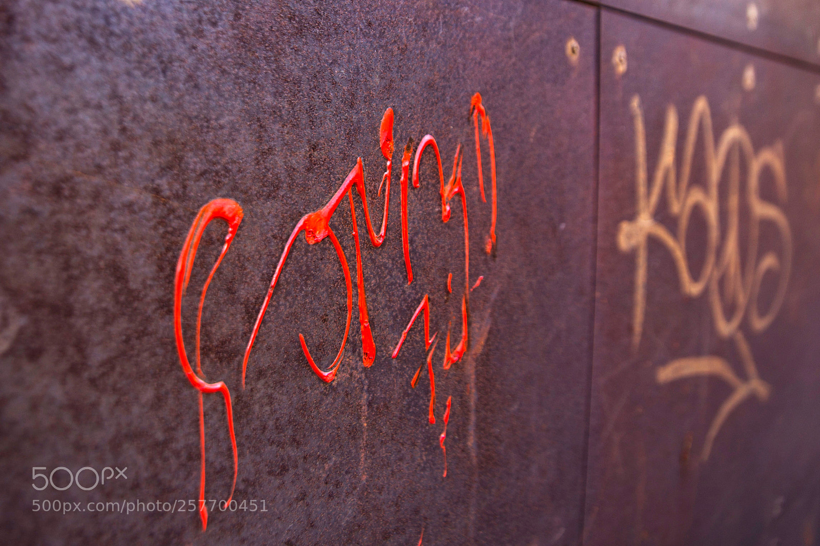 Canon EOS 6D sample photo. Grafiti in the city photography