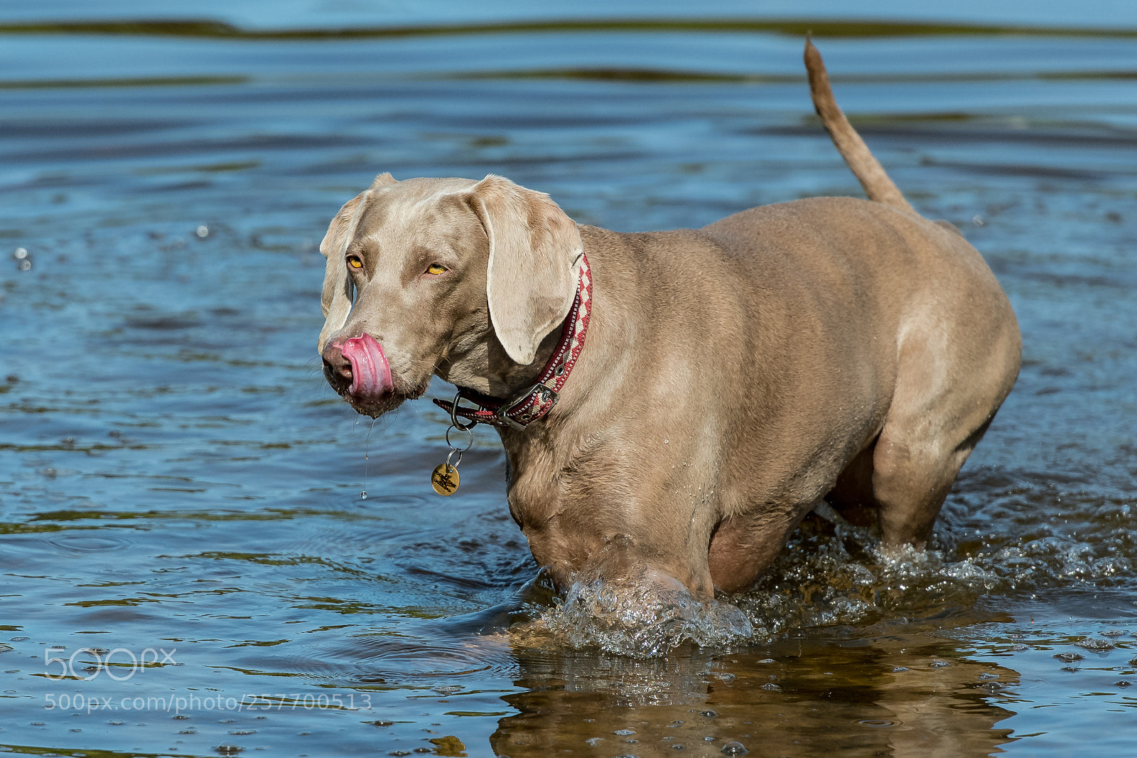 Nikon D850 sample photo. Tastes good! photography