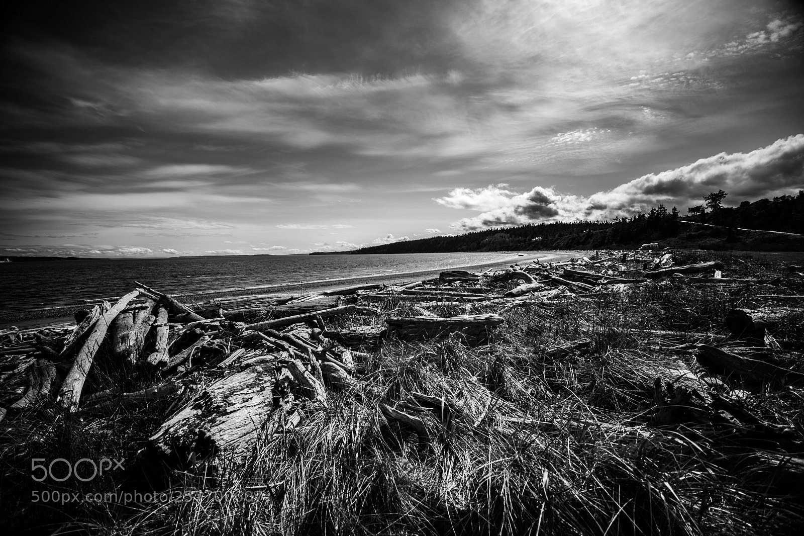 Canon EOS 5D Mark IV sample photo. Port angeles drive photography