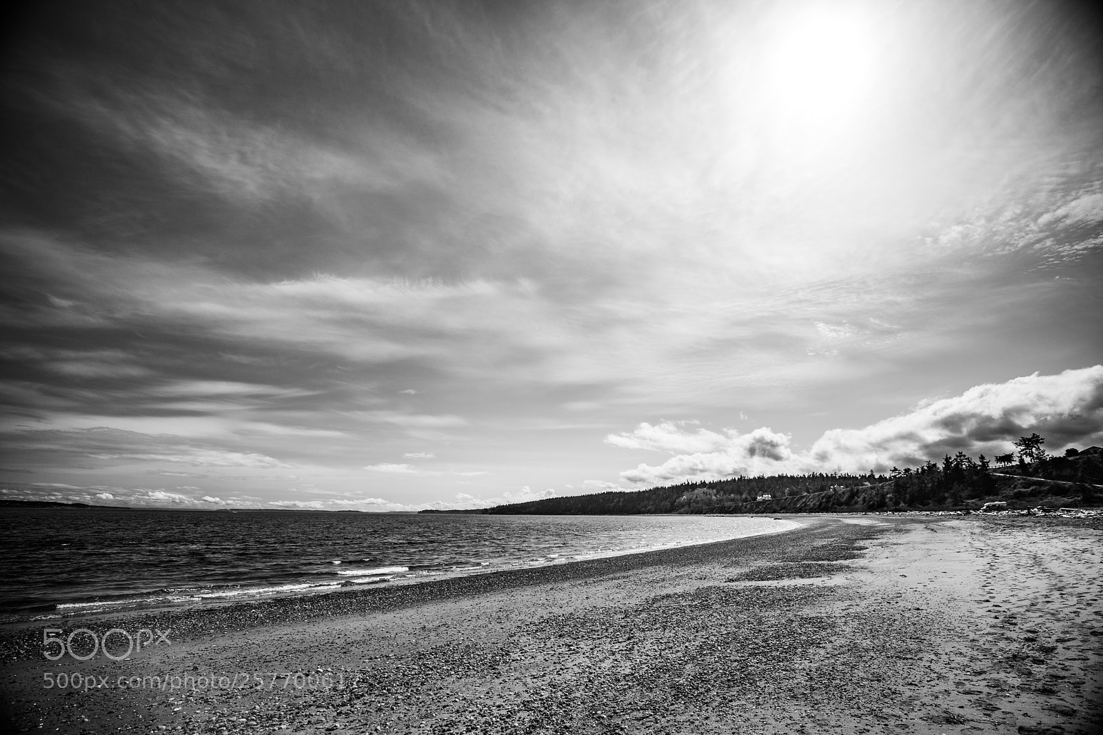Canon EOS 5D Mark IV sample photo. Port angeles drive photography