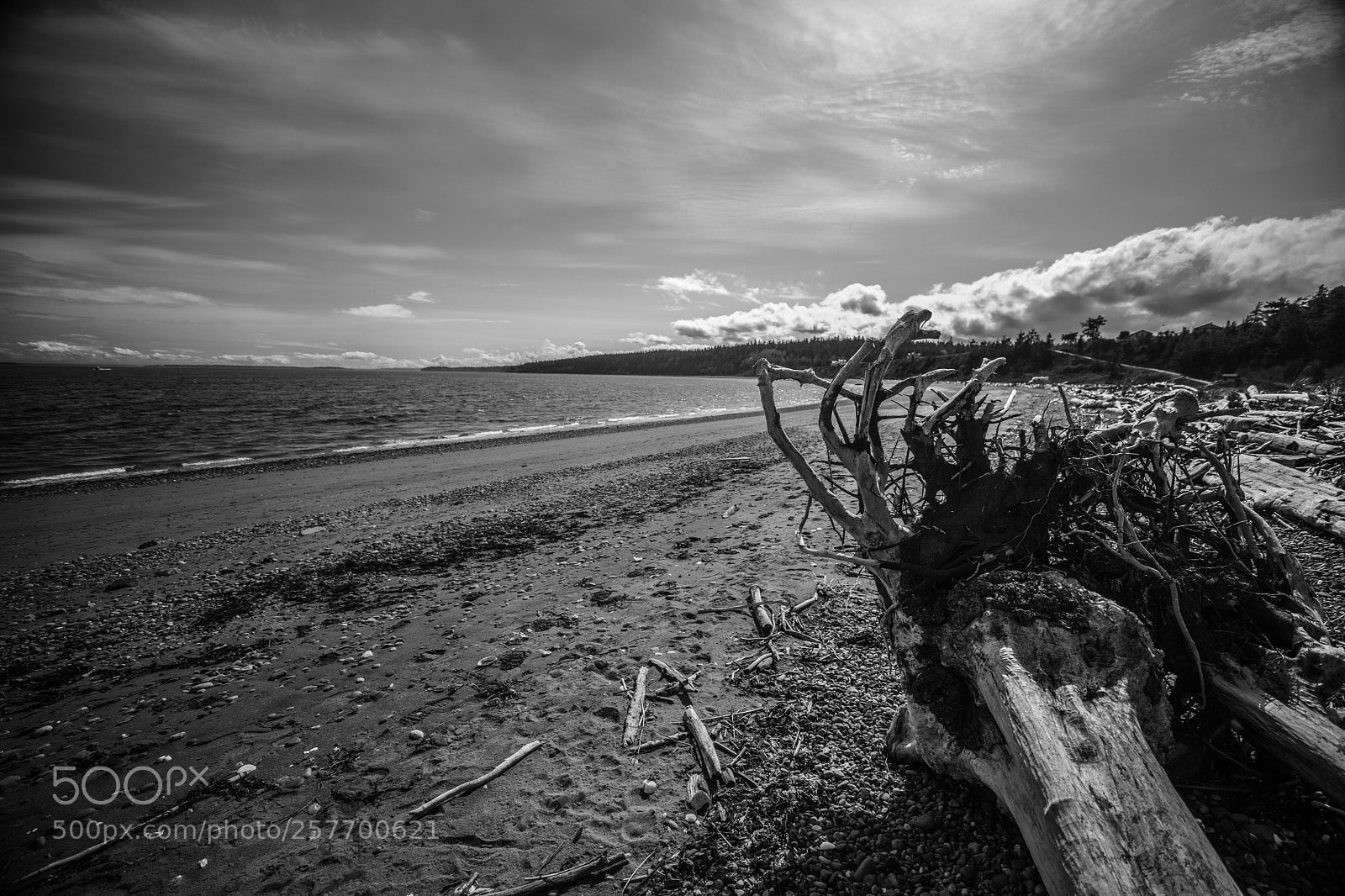 Canon EOS 5D Mark IV sample photo. Port angeles drive photography