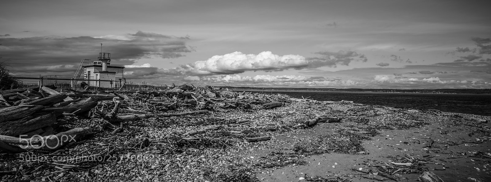 Canon EOS 5D Mark IV sample photo. Port angeles drive photography