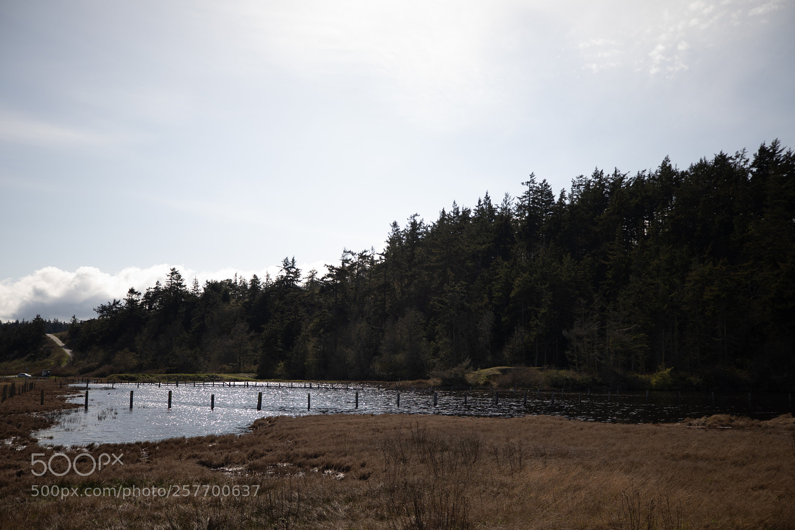 Canon EOS 5D Mark IV sample photo. Port angeles drive photography