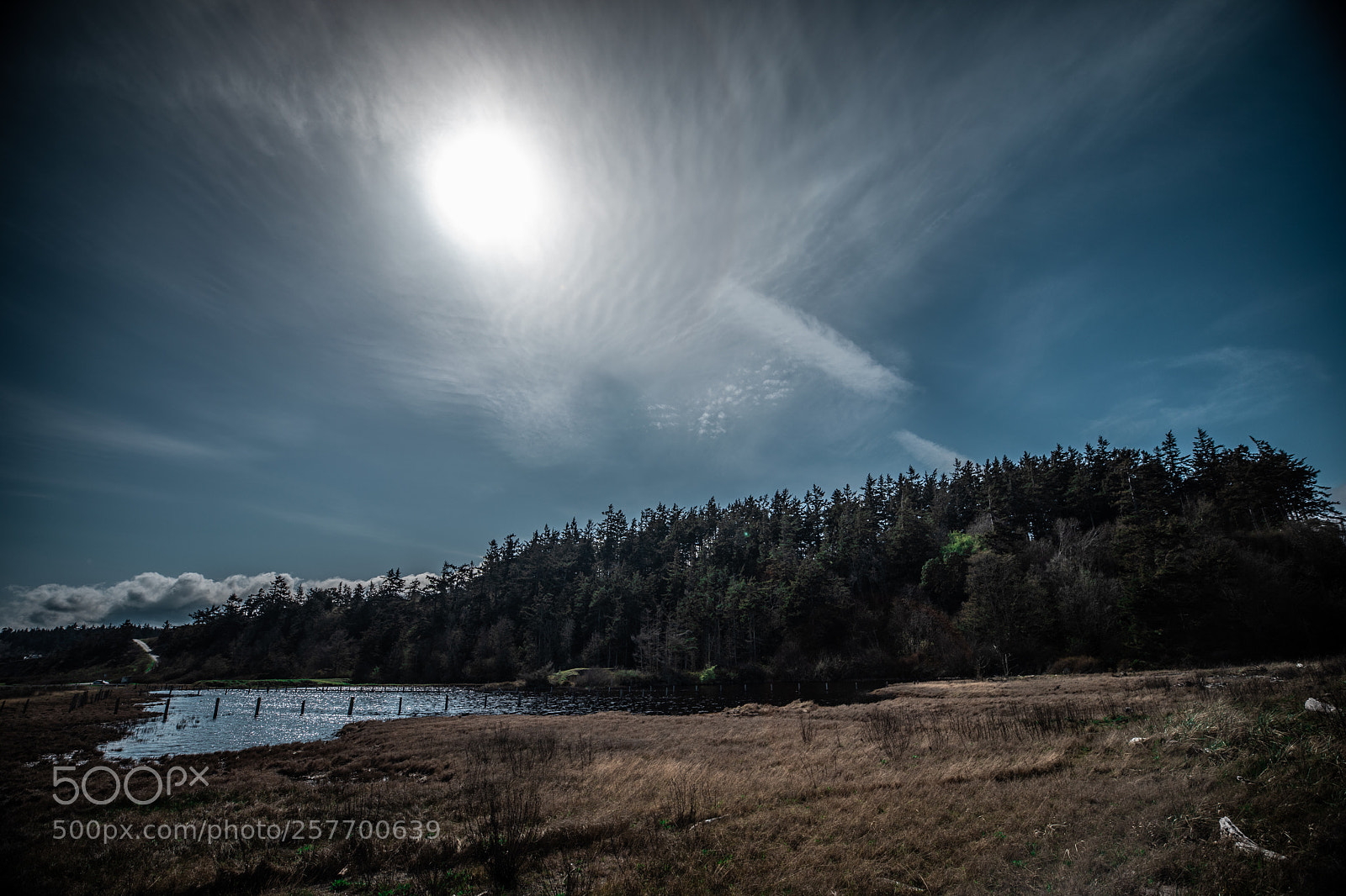 Canon EOS 5D Mark IV sample photo. Port angeles drive photography