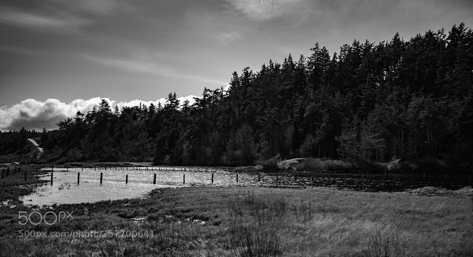 Canon EOS 5D Mark IV sample photo. Port angeles drive photography