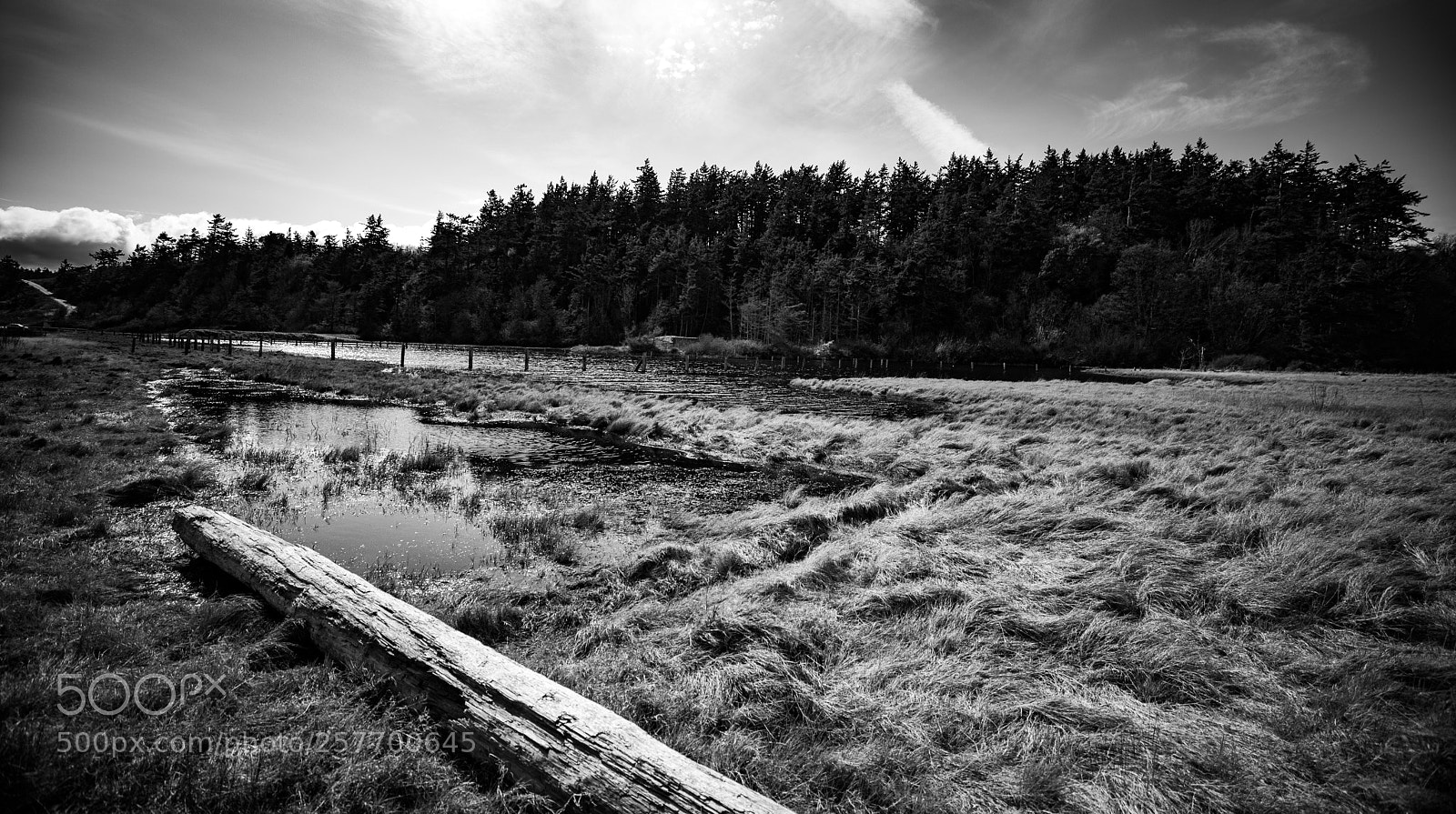 Canon EOS 5D Mark IV sample photo. Port angeles drive photography