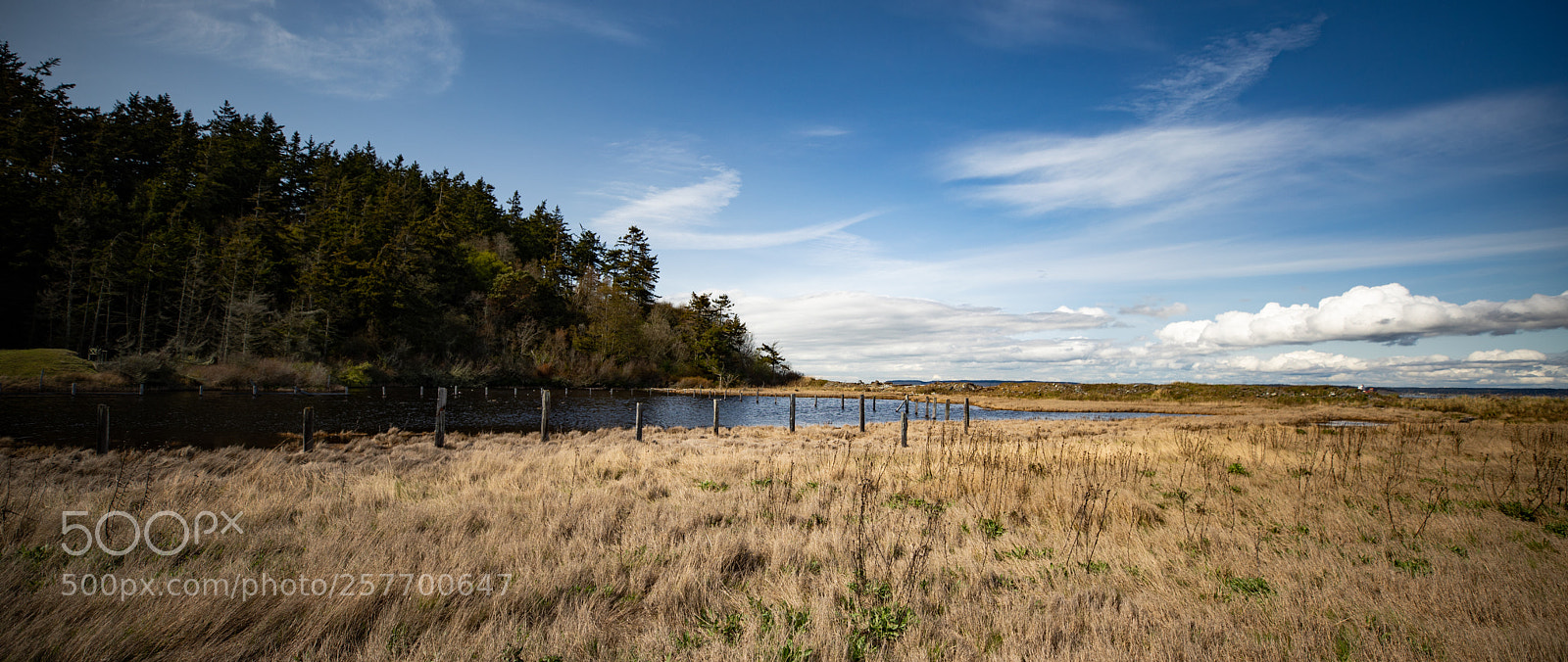Canon EOS 5D Mark IV sample photo. Port angeles drive photography