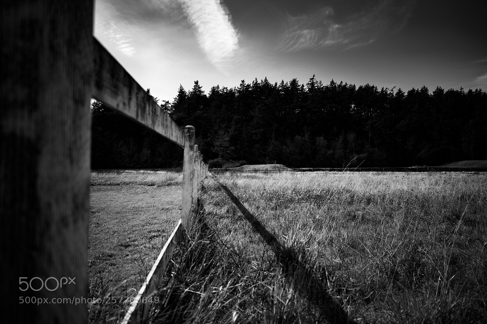 Canon EOS 5D Mark IV sample photo. Port angeles drive photography