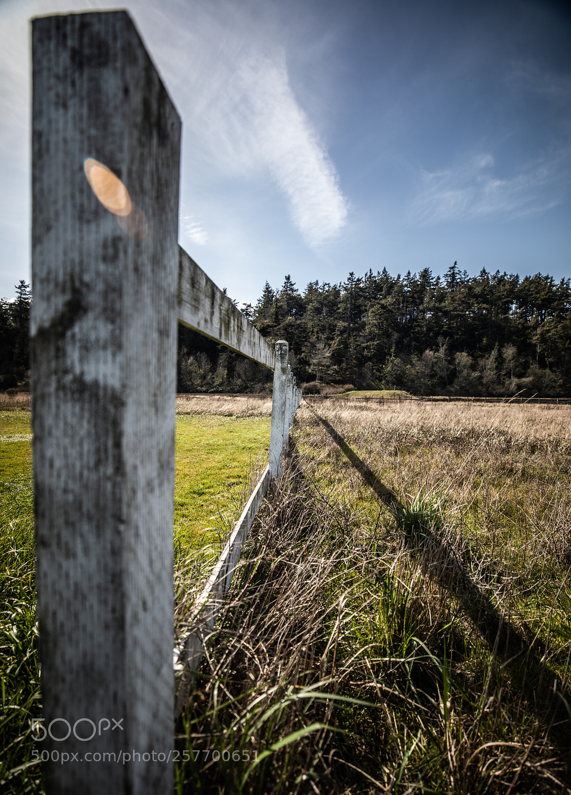 Canon EOS 5D Mark IV sample photo. Port angeles drive photography