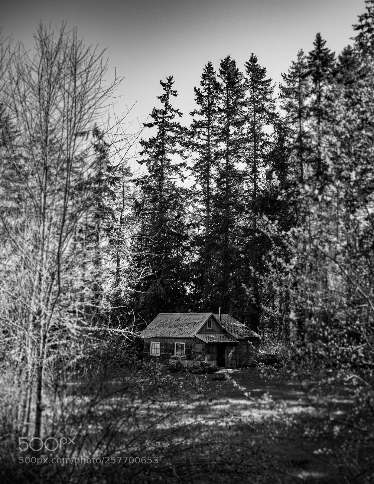 Canon EOS 5D Mark IV sample photo. Port angeles drive photography