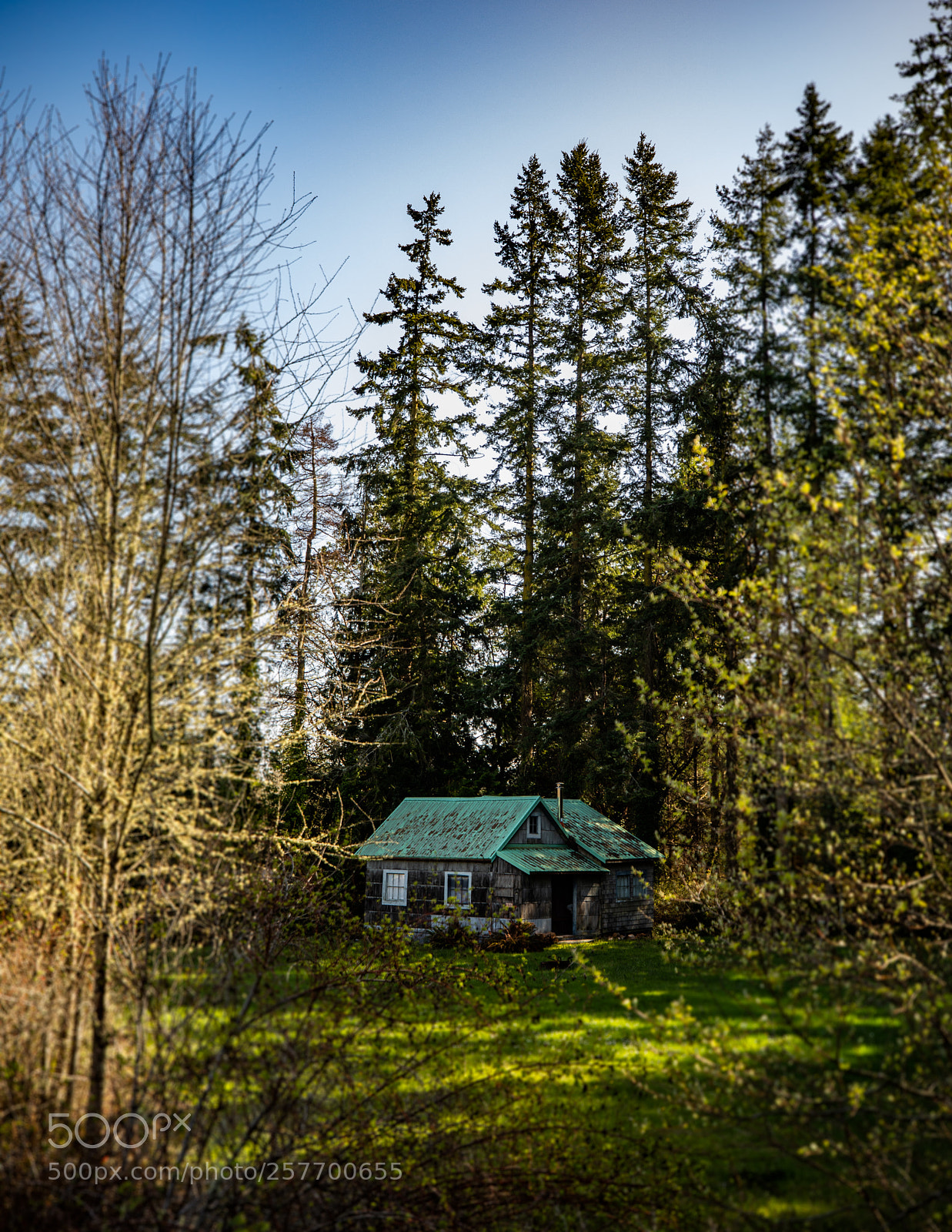 Canon EOS 5D Mark IV sample photo. Port angeles drive photography