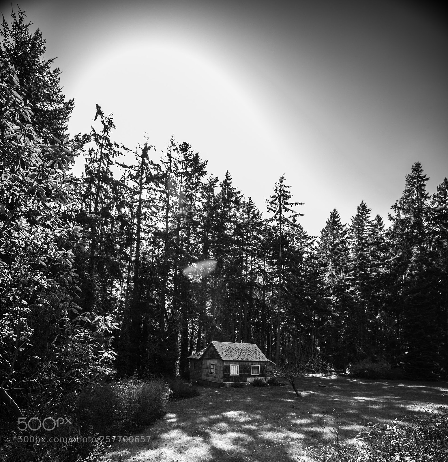 Canon EOS 5D Mark IV sample photo. Port angeles drive photography