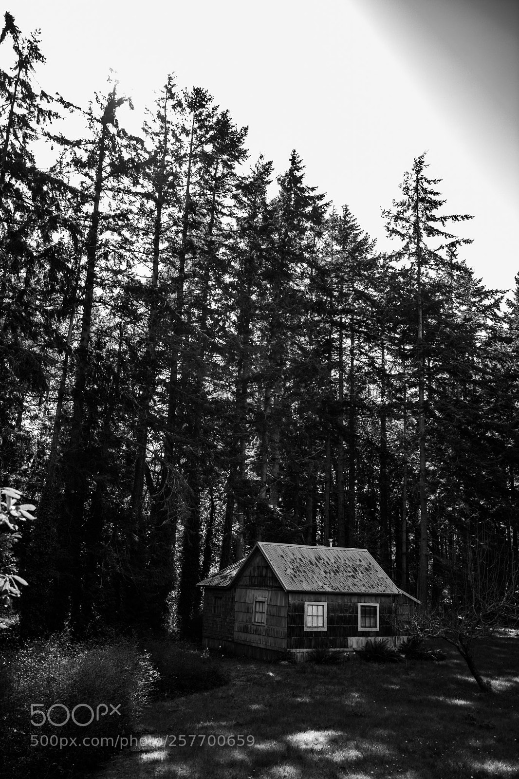Canon EOS 5D Mark IV sample photo. Port angeles drive photography