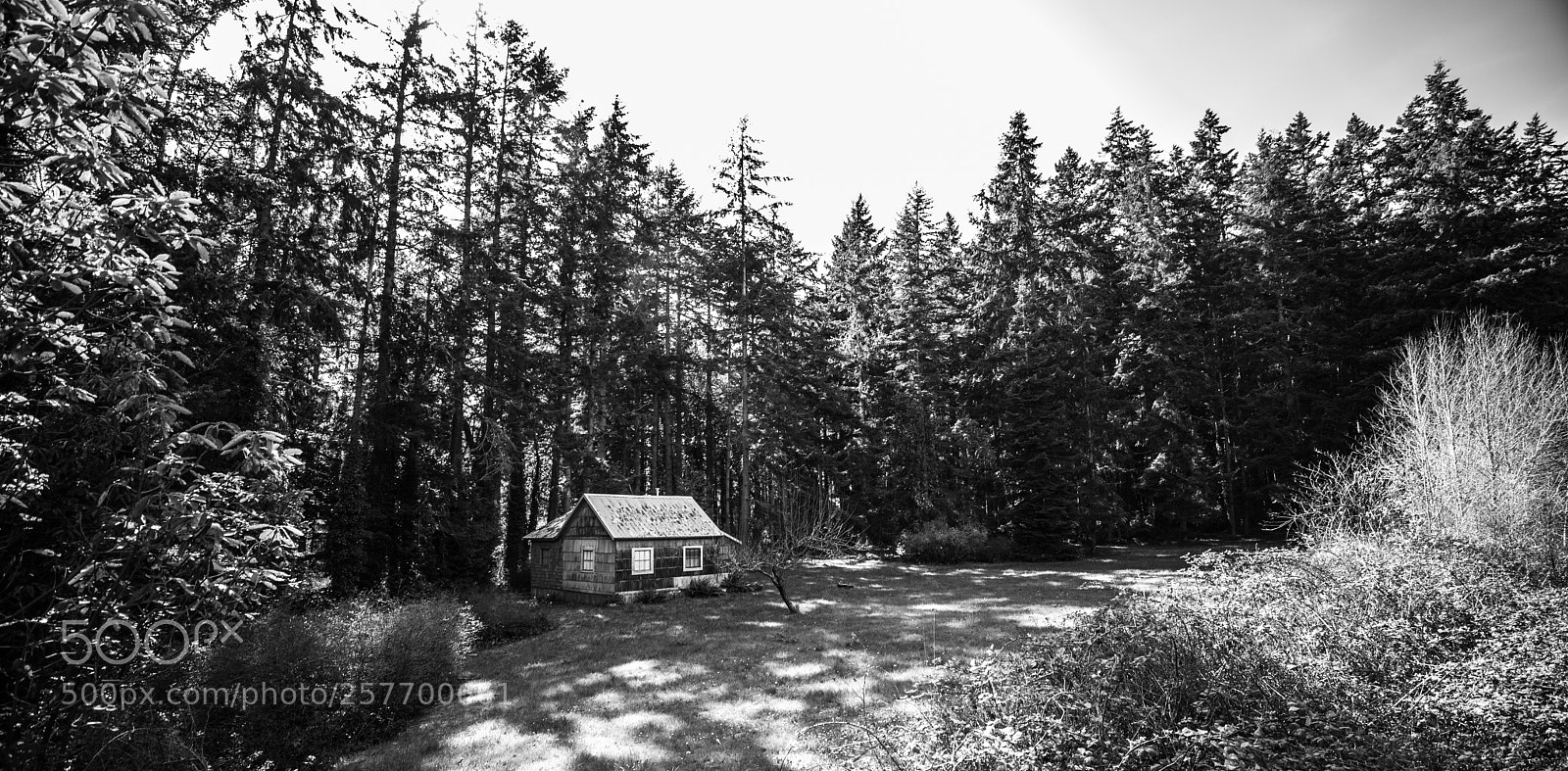 Canon EOS 5D Mark IV sample photo. Port angeles drive photography
