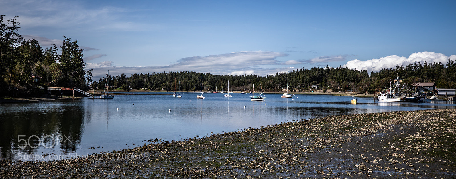 Canon EOS 5D Mark IV sample photo. Port angeles drive photography